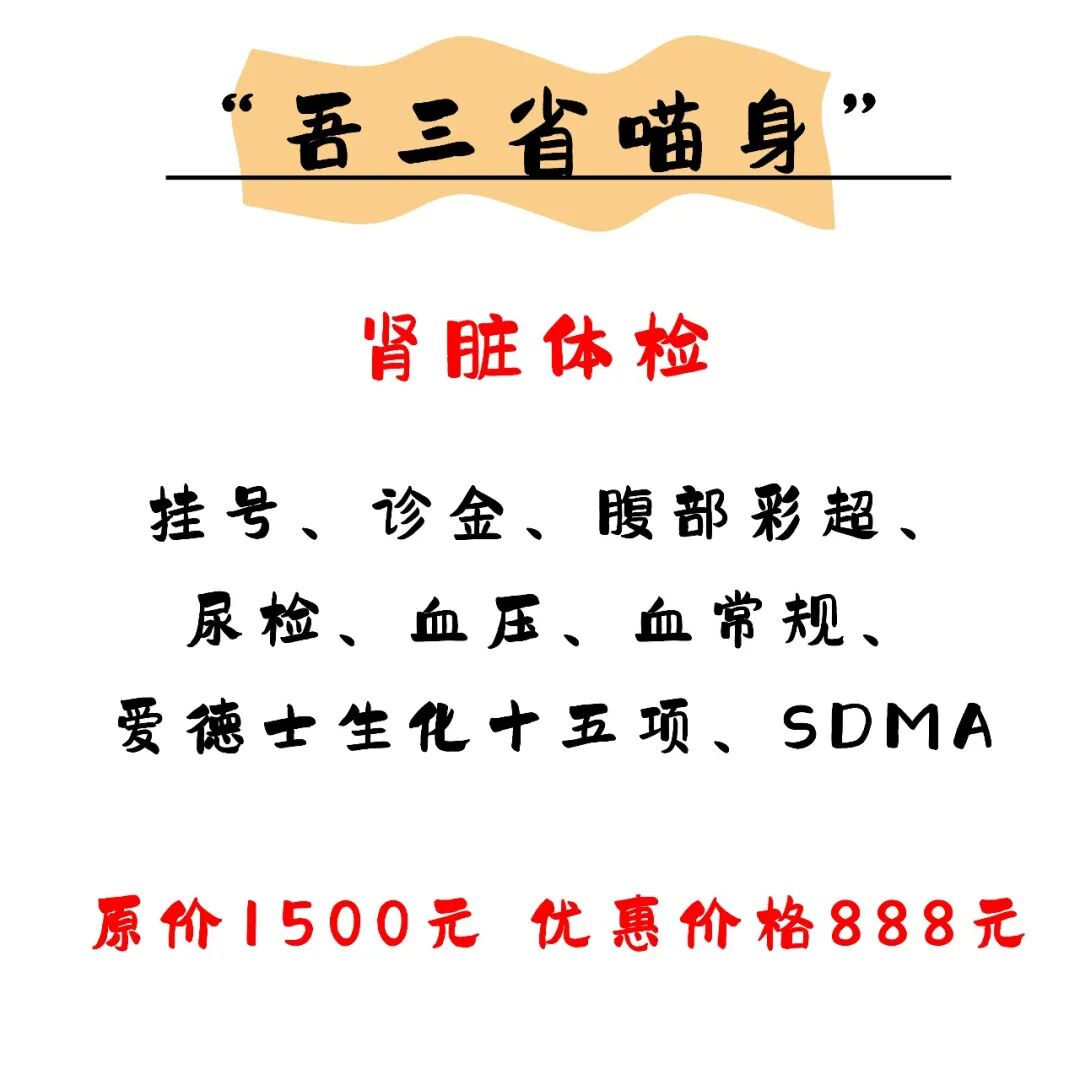 @联合日报—什么是猫you'hao医院？