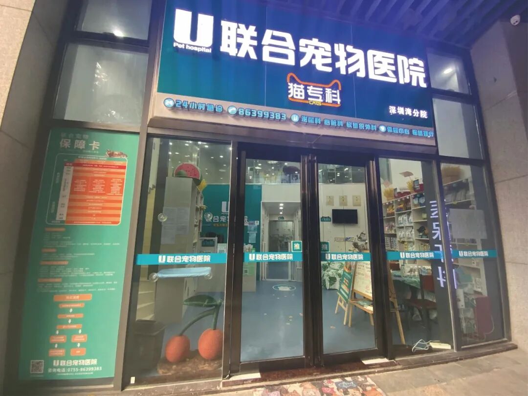 @联合日报—什么是猫you'hao医院？