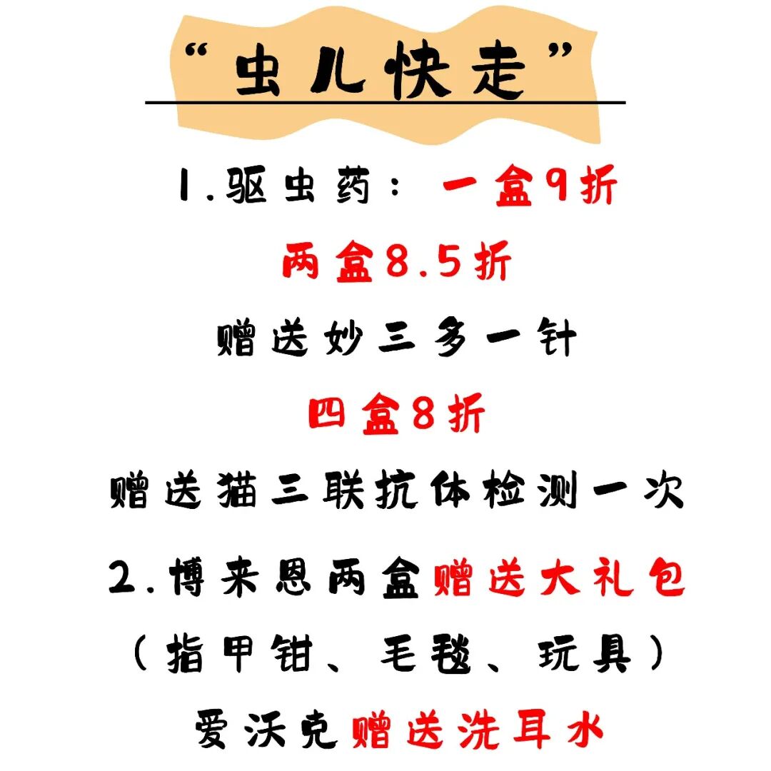 @联合日报—什么是猫you'hao医院？