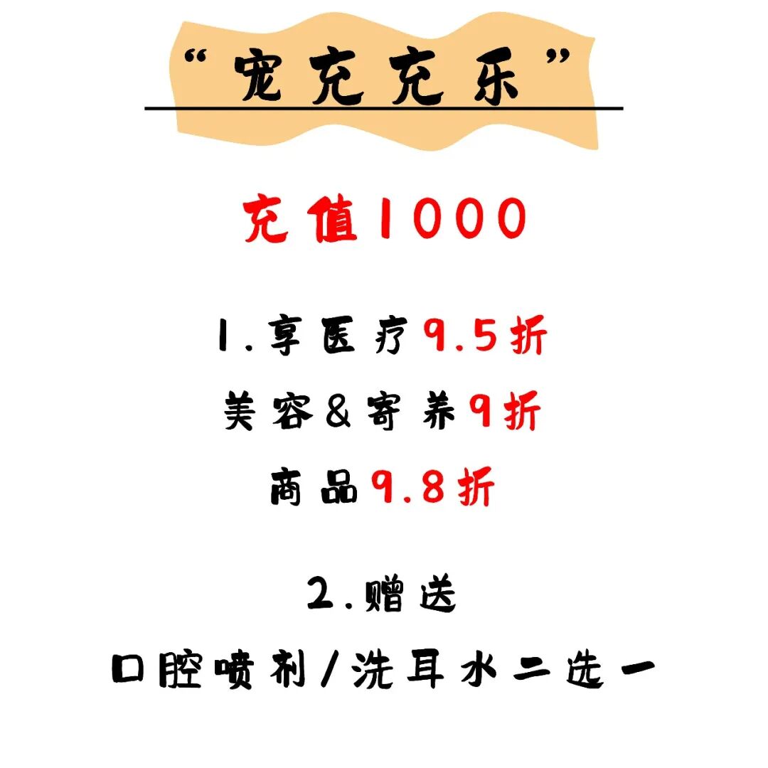 @联合日报—什么是猫you'hao医院？