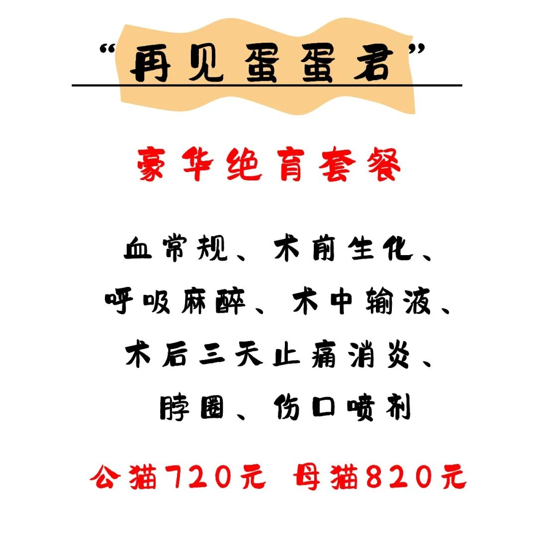 @联合日报—什么是猫you'hao医院？