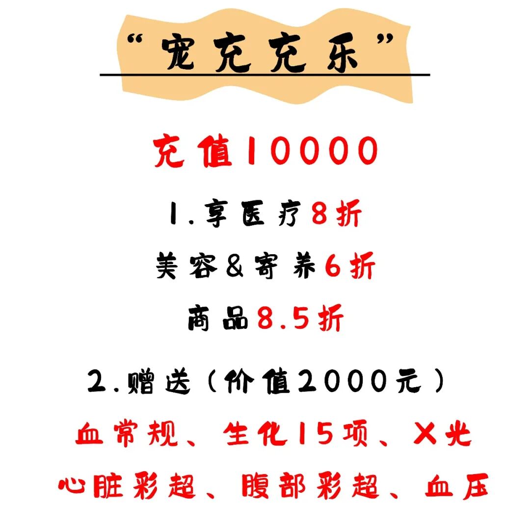 @联合日报—什么是猫you'hao医院？