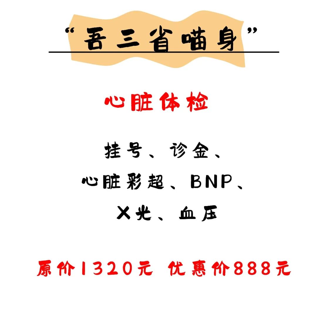 @联合日报—什么是猫you'hao医院？