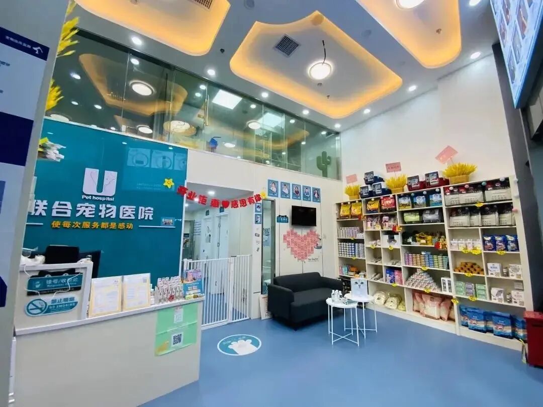 @联合日报—什么是猫you'hao医院？