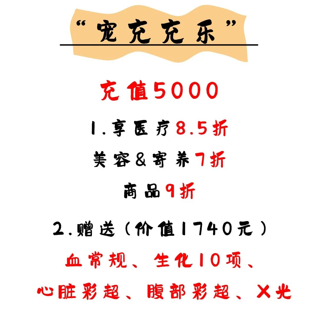 @联合日报—什么是猫you'hao医院？