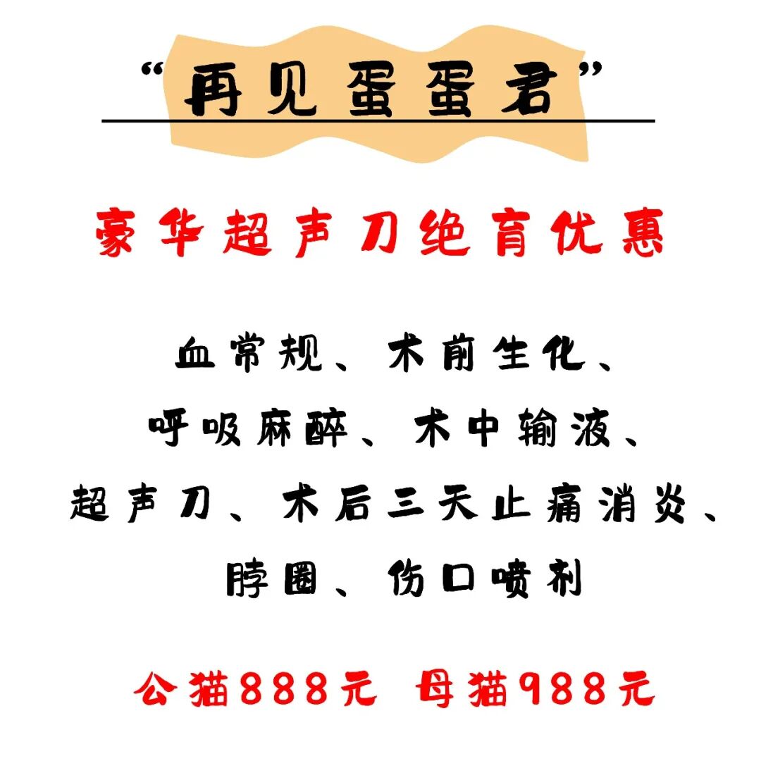 @联合日报—什么是猫you'hao医院？