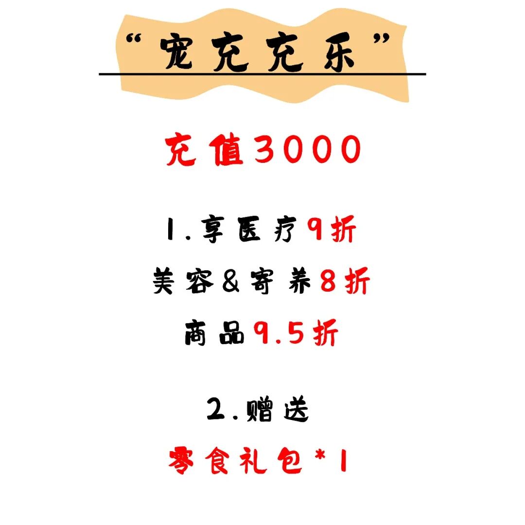 @联合日报—什么是猫you'hao医院？