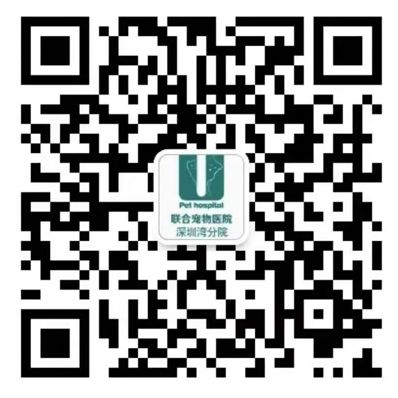 @联合日报—什么是猫you'hao医院？