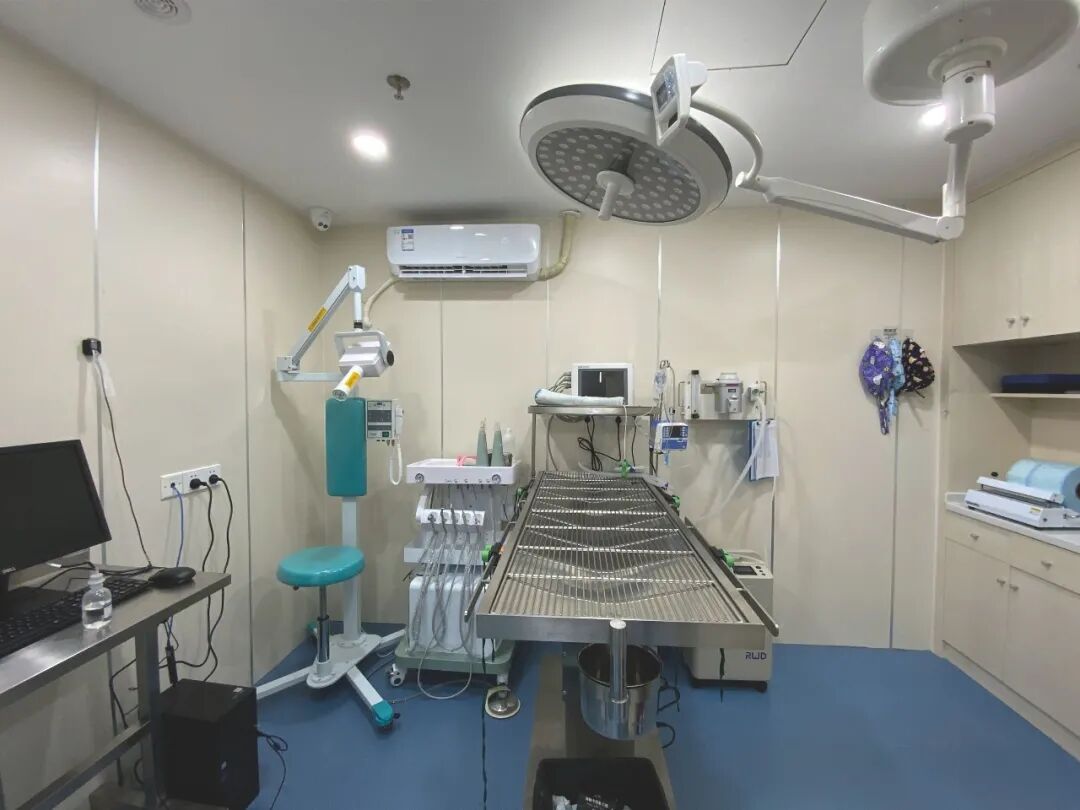 @联合日报—什么是猫you'hao医院？