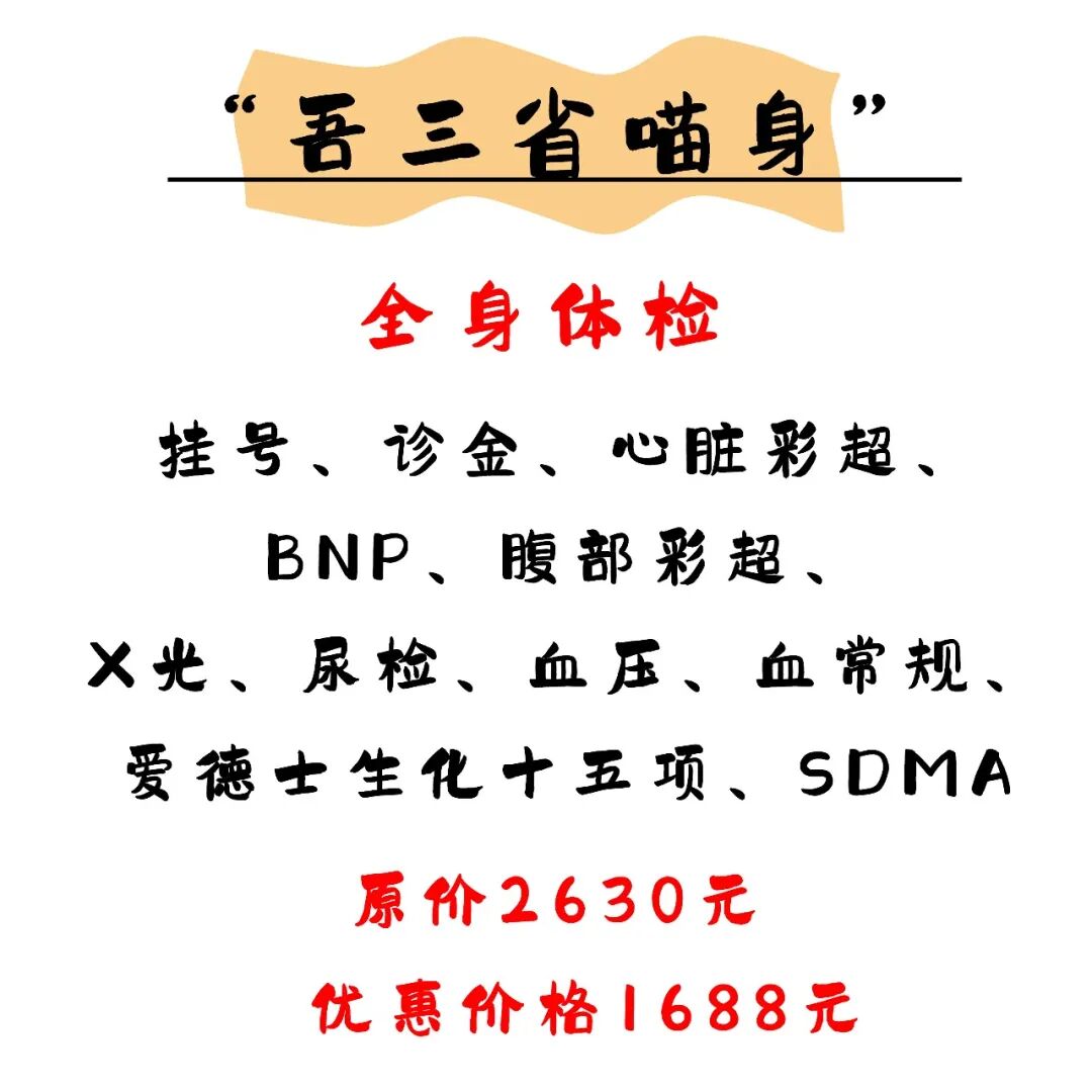 @联合日报—什么是猫you'hao医院？