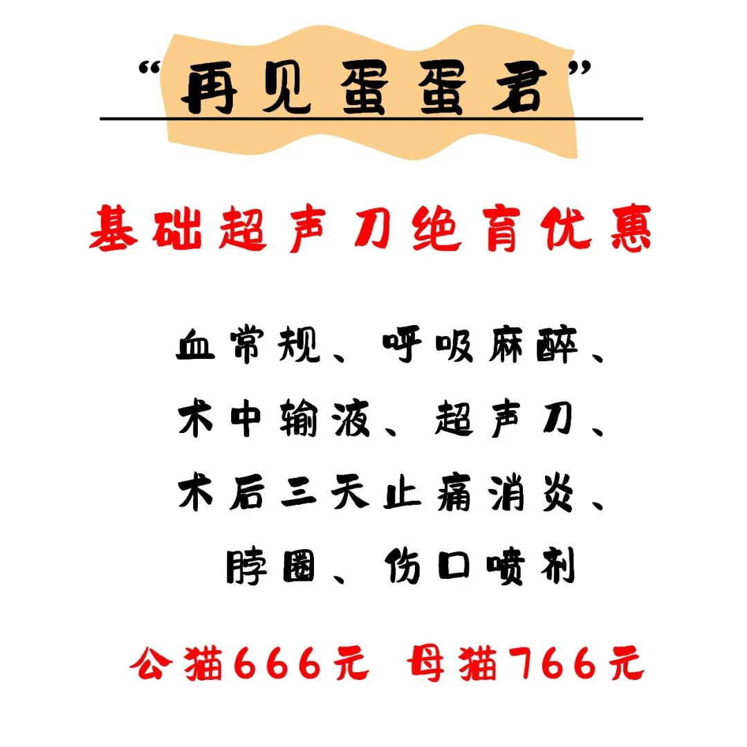 @联合日报—什么是猫you'hao医院？