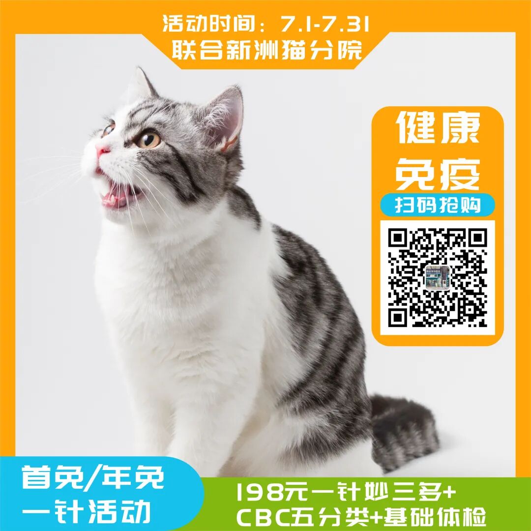 别错过了！这家分院超多福利等你来领