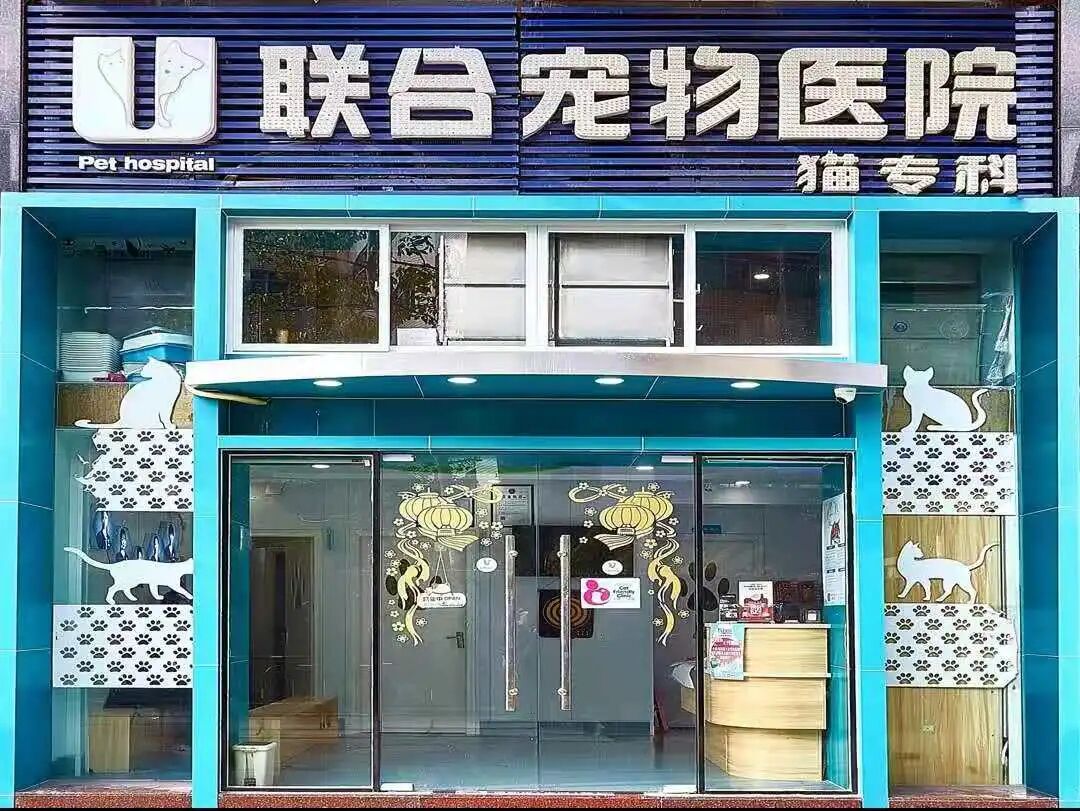 别错过了！这家分院超多福利等你来领