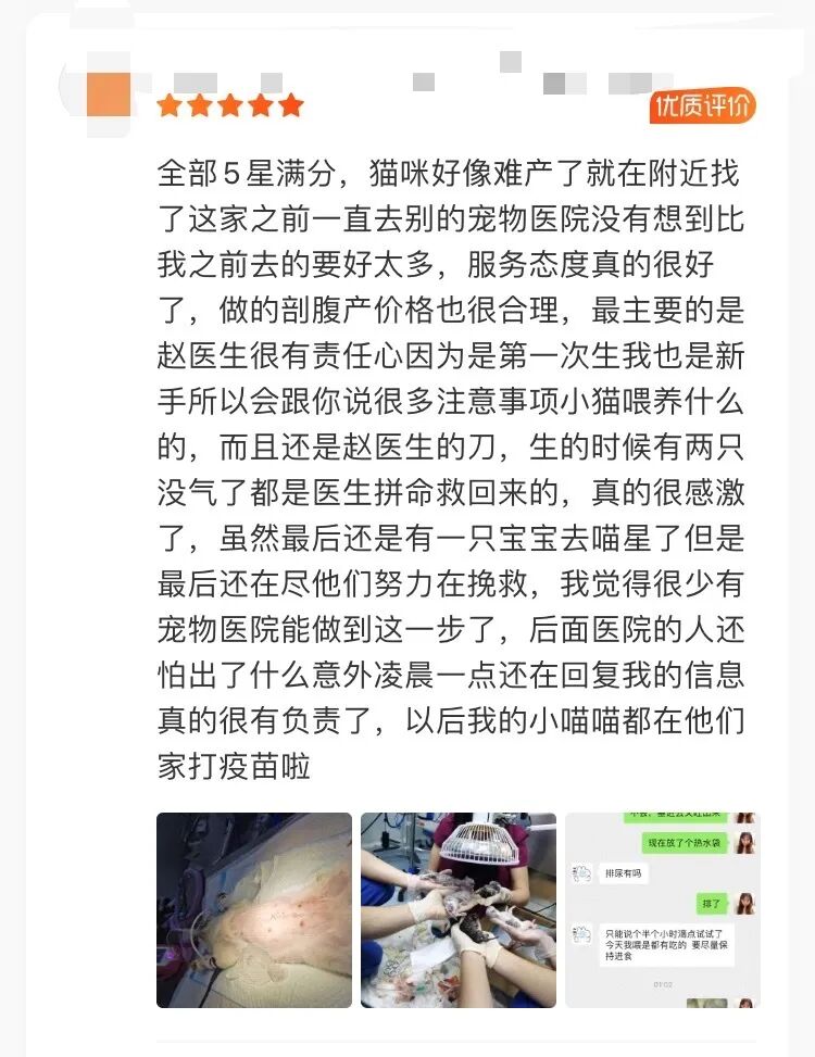 中国兽医日 | 表白每一位兽医师