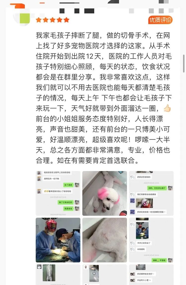 中国兽医日 | 表白每一位兽医师