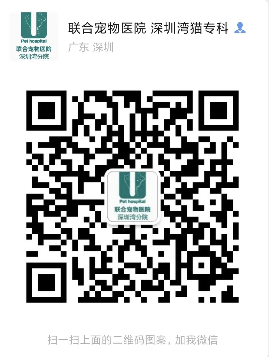 领养猫靠谱吗？点进来就知道