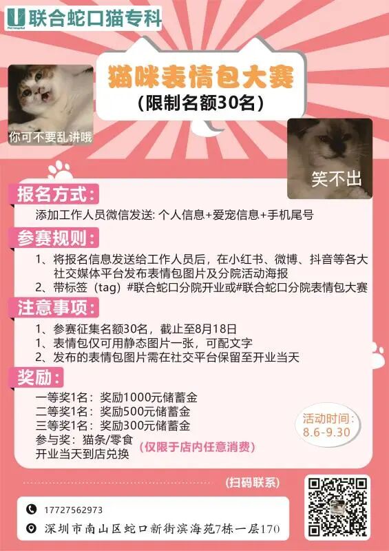 养猫是一时冲动？这样的猫专科医生你肯定没见过