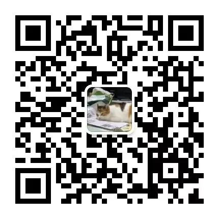 养猫是一时冲动？这样的猫专科医生你肯定没见过