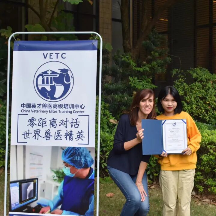 养猫是一时冲动？这样的猫专科医生你肯定没见过