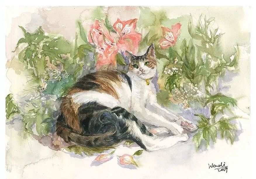 养猫是一时冲动？这样的猫专科医生你肯定没见过