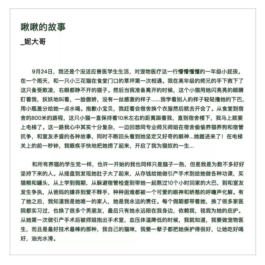 养猫是一时冲动？这样的猫专科医生你肯定没见过