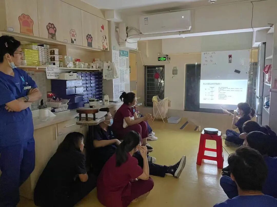 养猫是一时冲动？这样的猫专科医生你肯定没见过