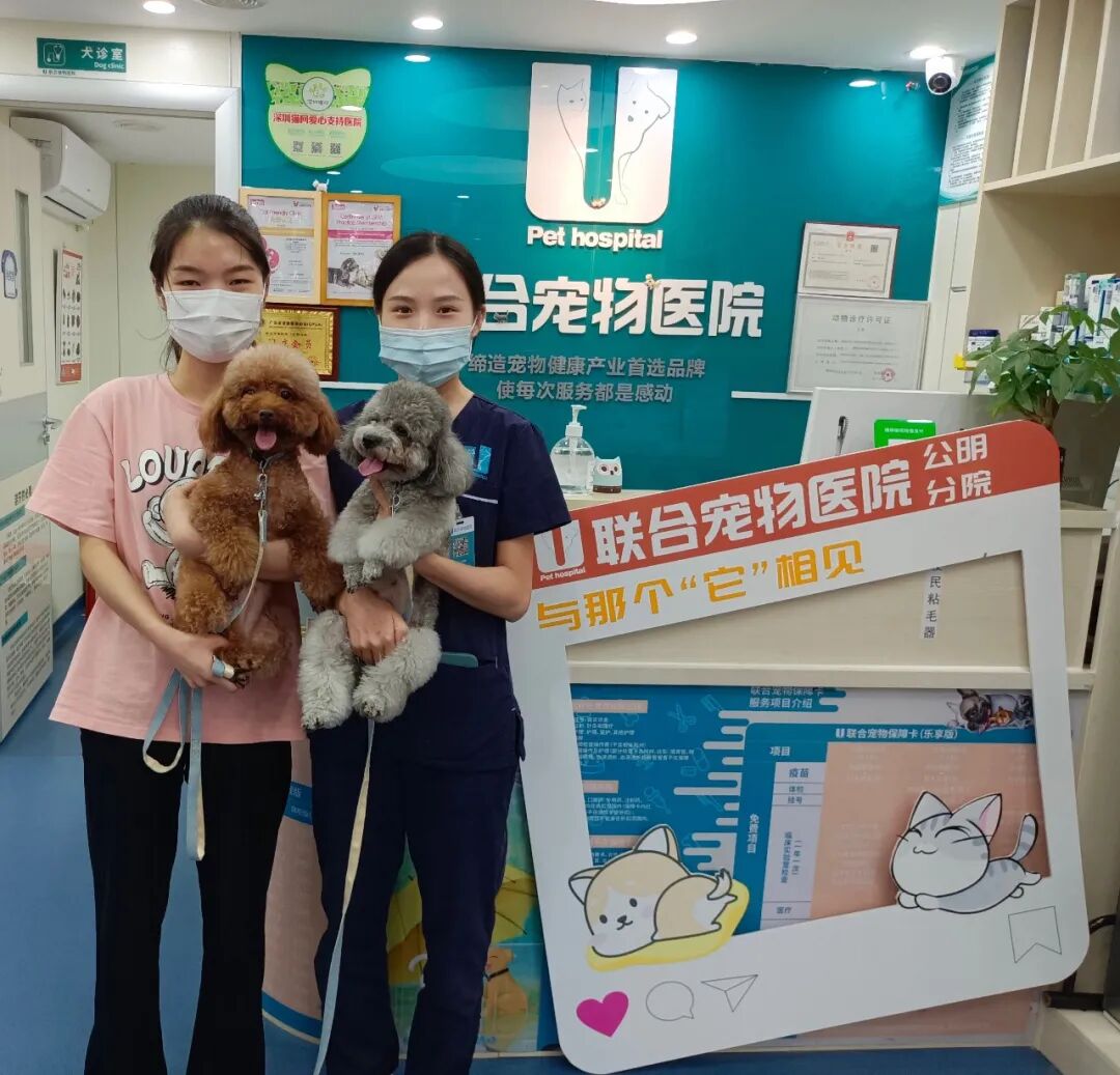 初次见面请多指教，我的小可爱！