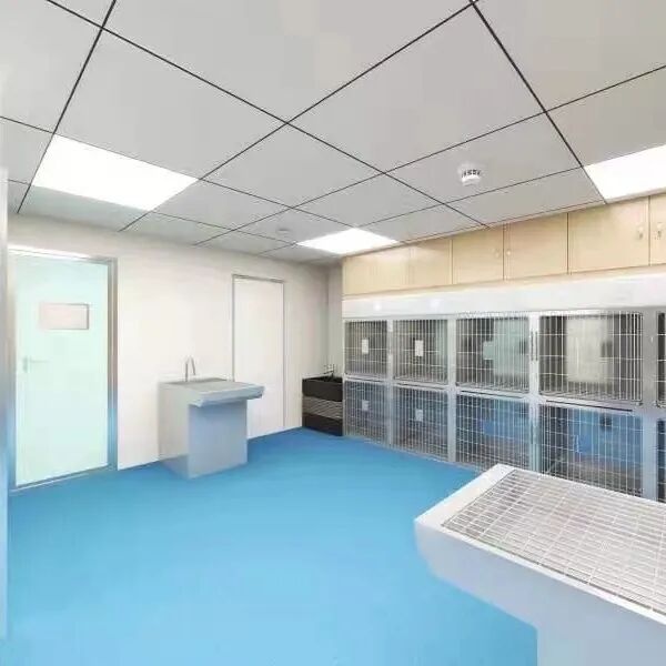 免费体检？佛山总院又在搞事情了！