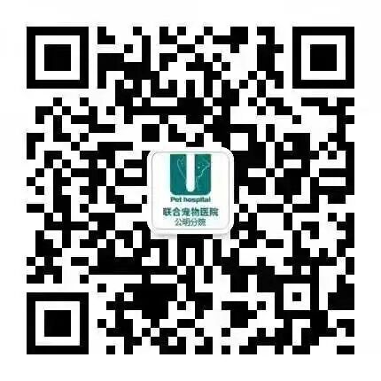 初次见面请多指教，我的小可爱！