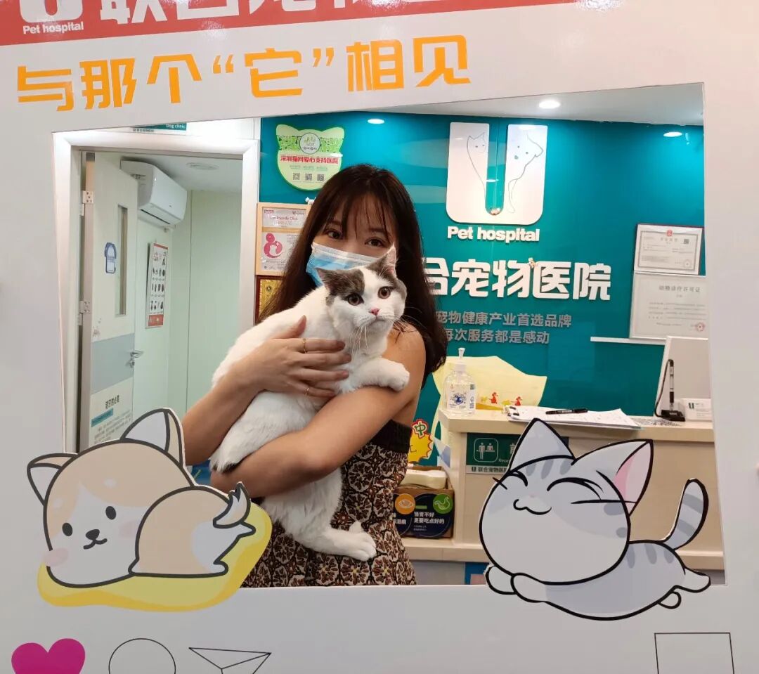 初次见面请多指教，我的小可爱！