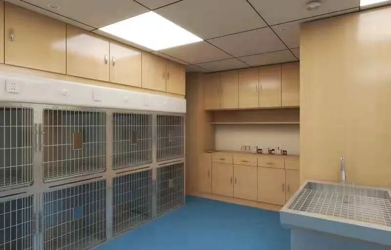 免费体检？佛山总院又在搞事情了！