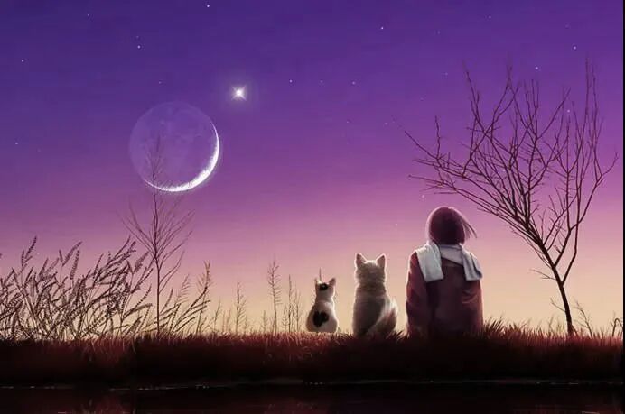 初次见面请多指教，我的小可爱！