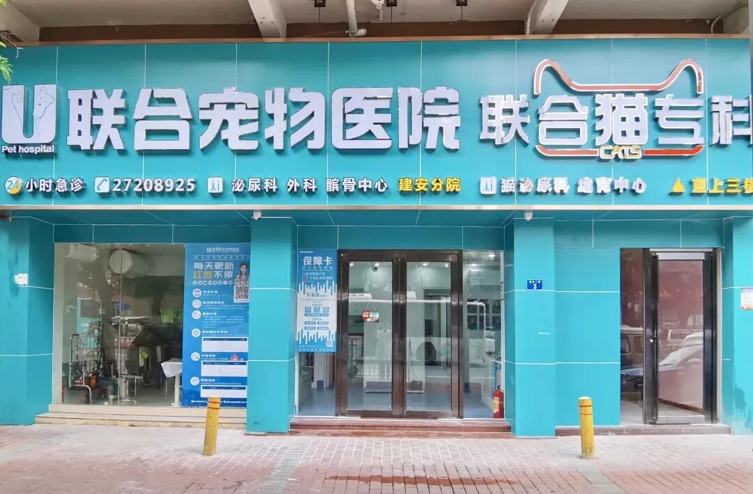 身为一名人类高质量铲屎官，七夕该怎么过？