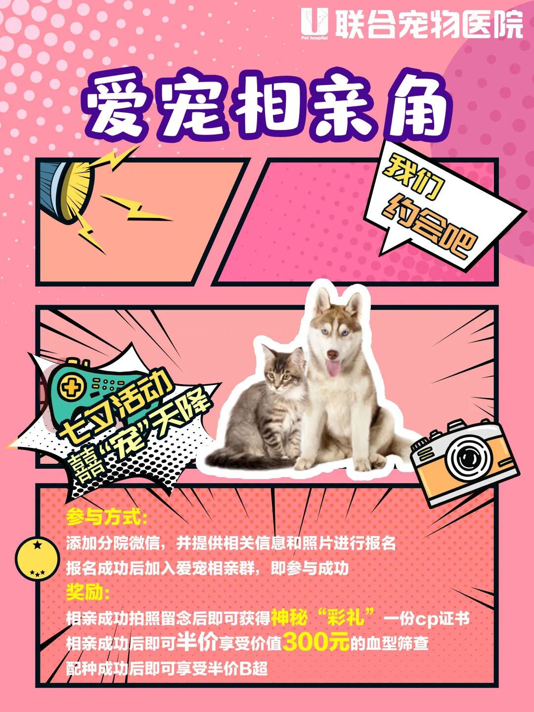 身为一名人类高质量铲屎官，七夕该怎么过？