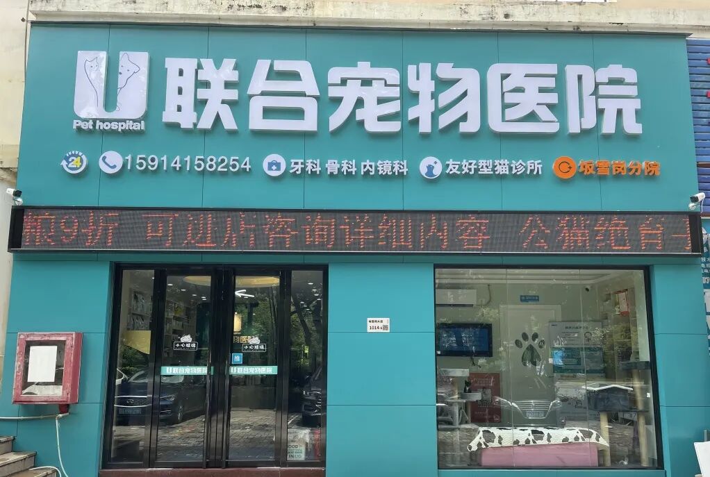 身为一名人类高质量铲屎官，七夕该怎么过？