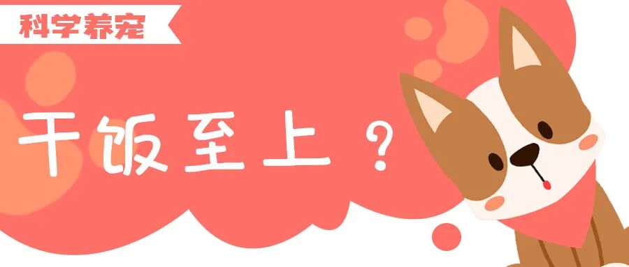 这么温柔的主子，怎么会咬人呢？