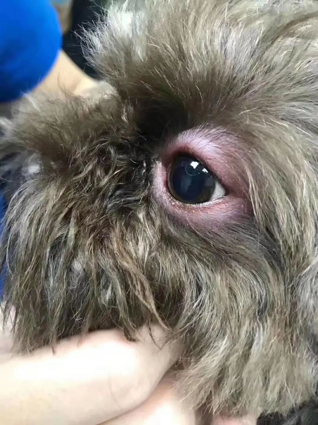 科普篇 | 打完疫苗就万事大吉了吗？