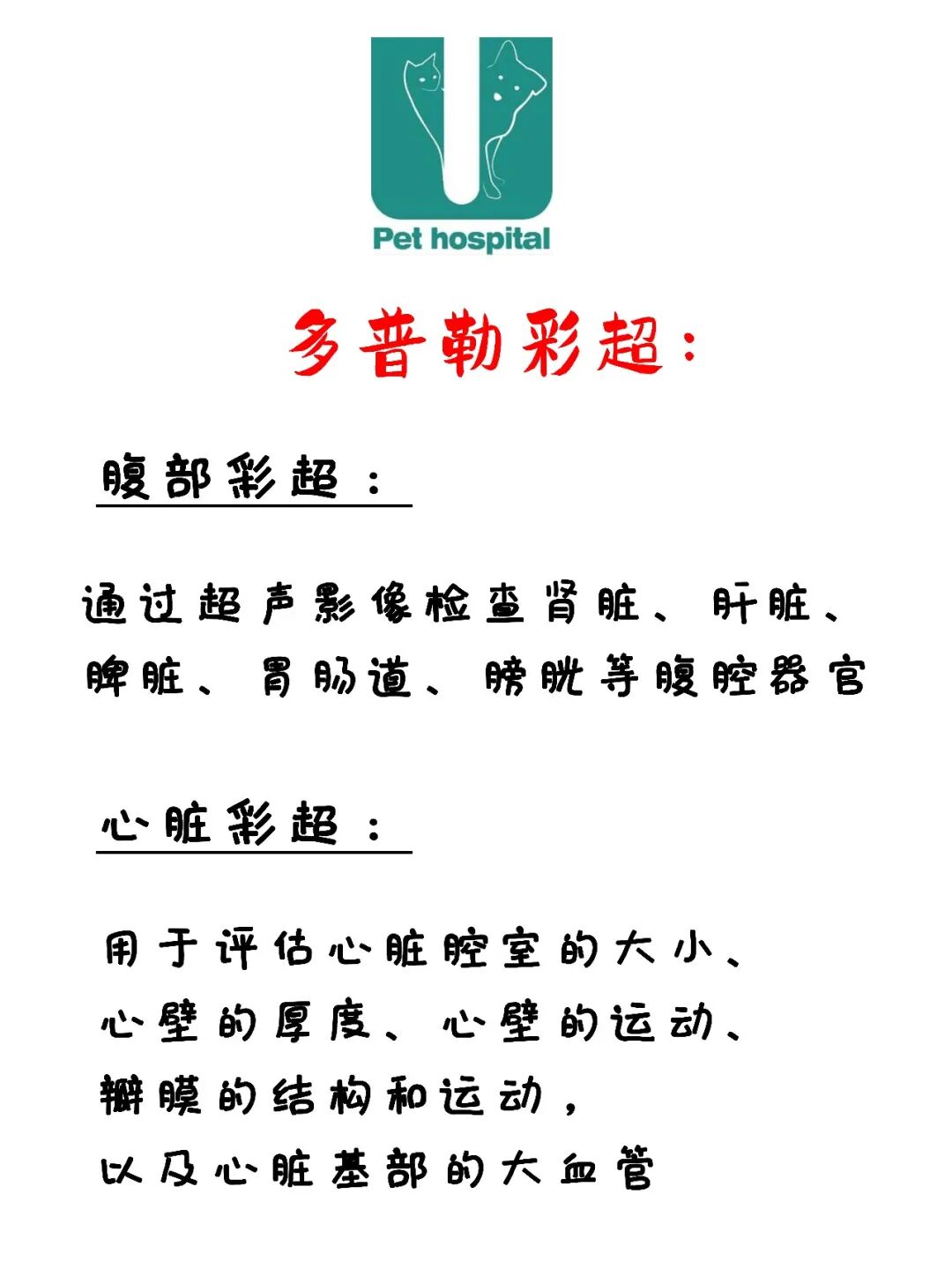 请接好，这是一份猫咪“悬赏令”