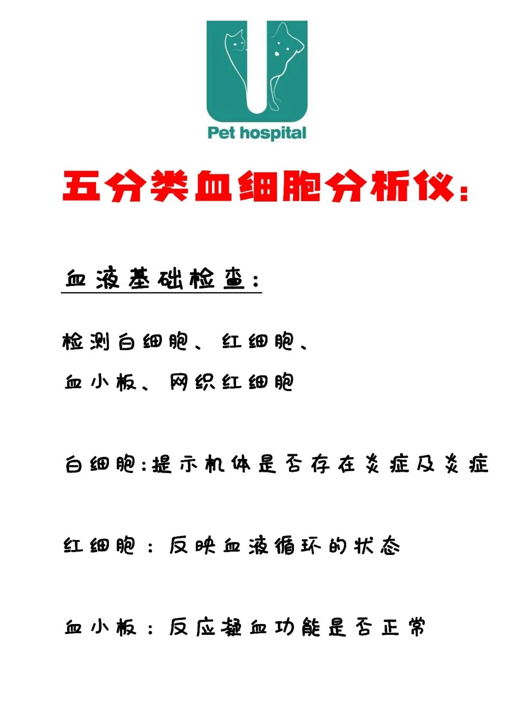 请接好，这是一份猫咪“悬赏令”
