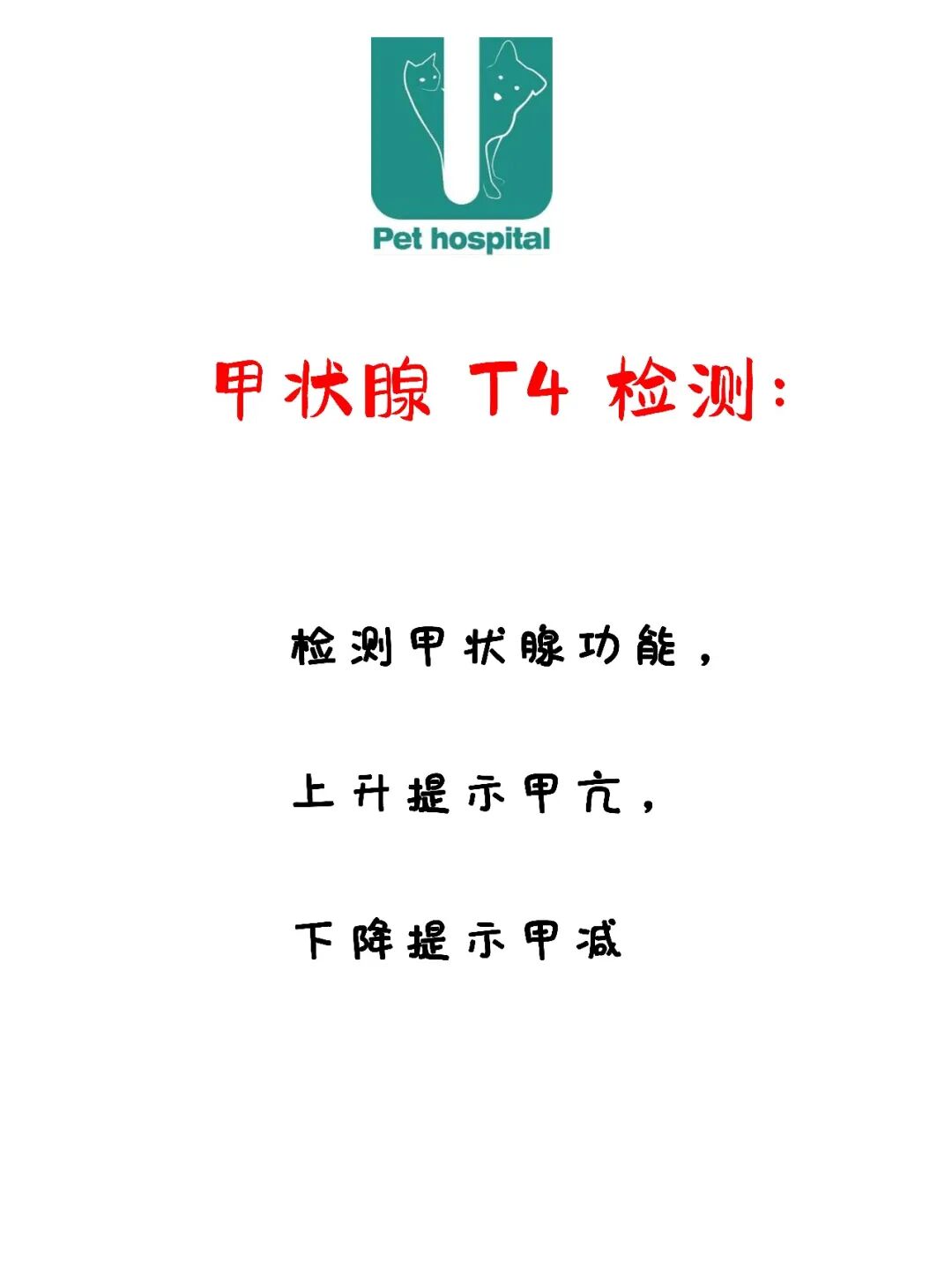 请接好，这是一份猫咪“悬赏令”