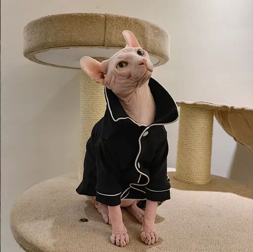 请接好，这是一份猫咪“悬赏令”