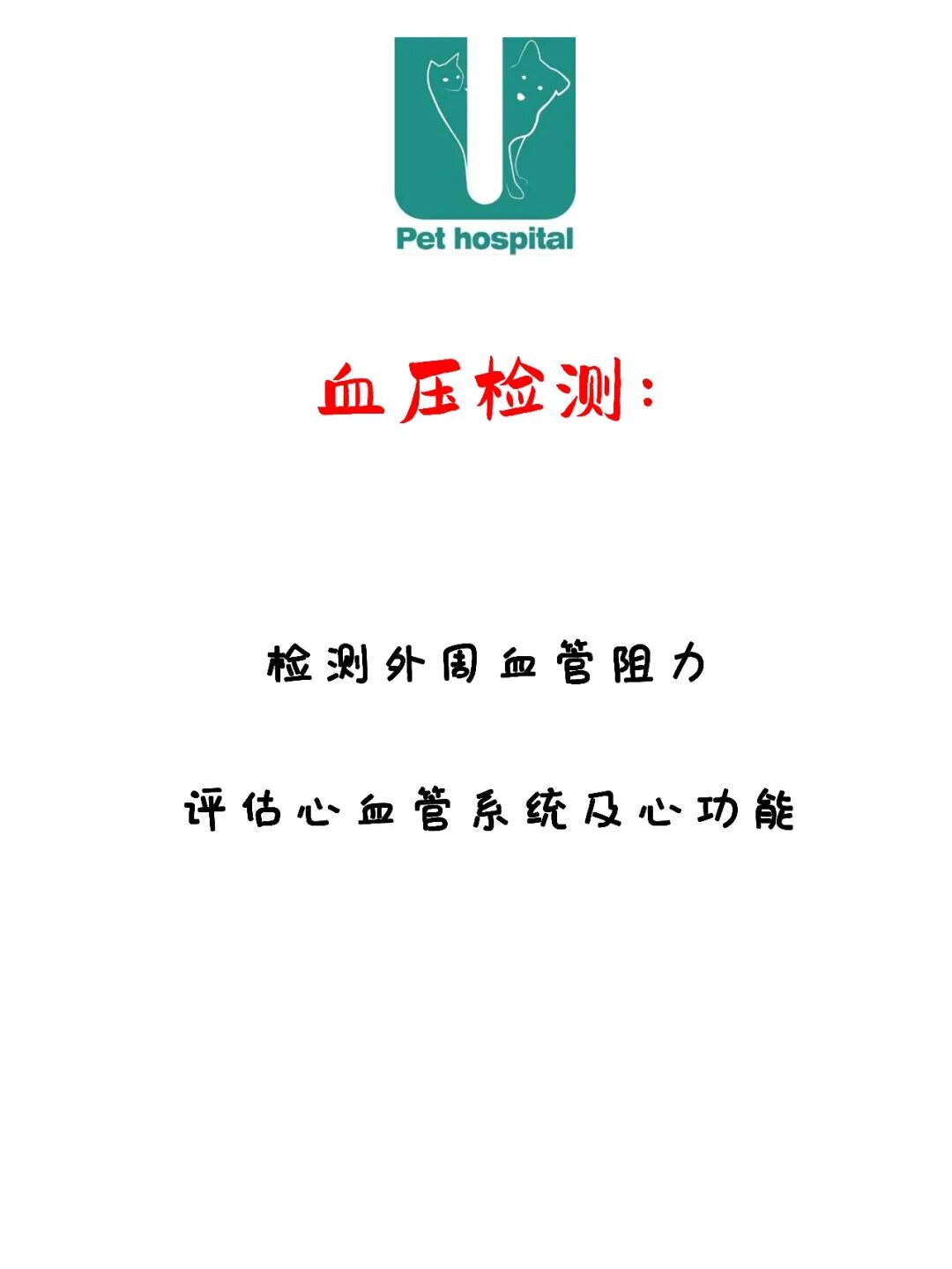 请接好，这是一份猫咪“悬赏令”