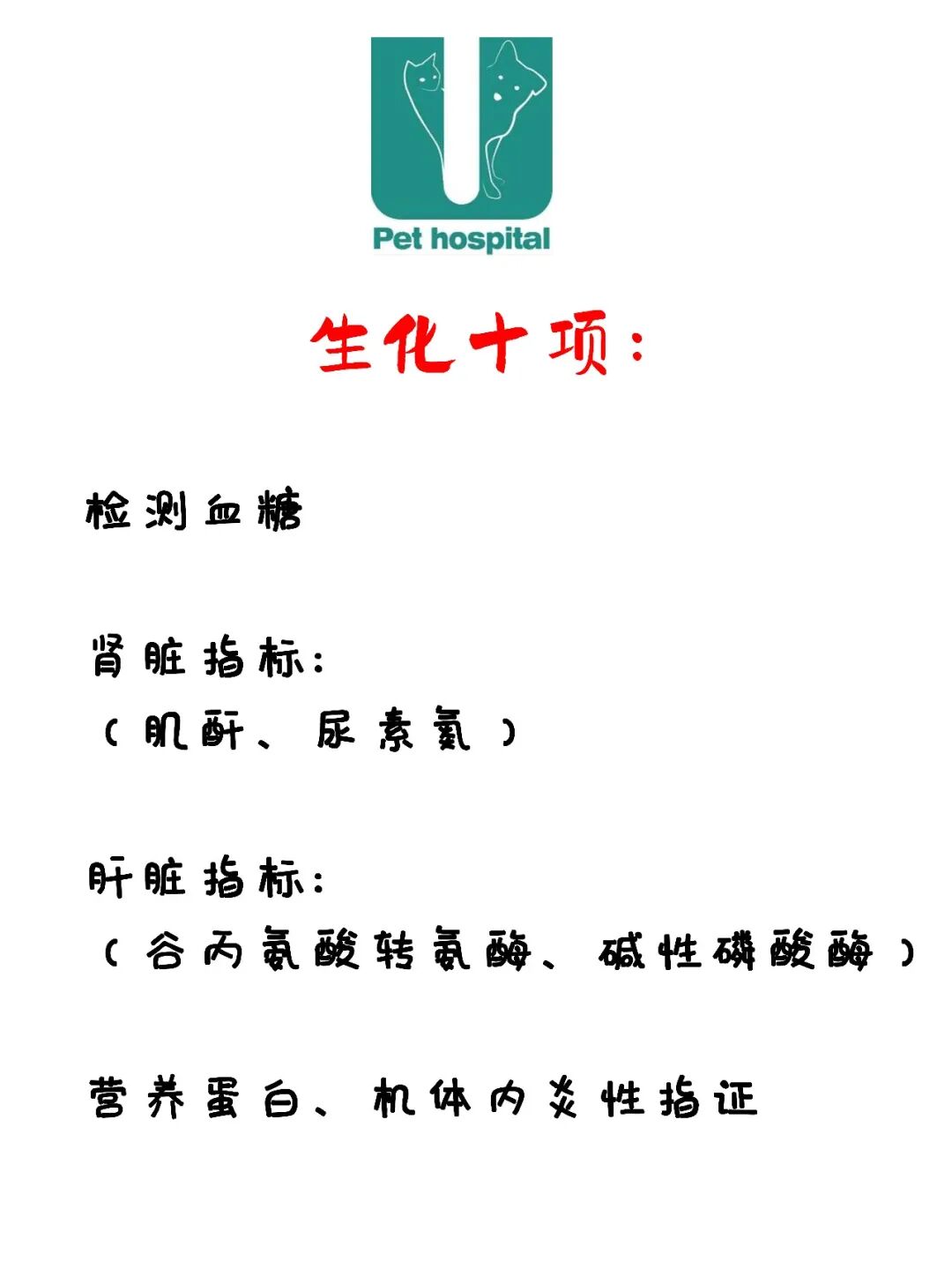 请接好，这是一份猫咪“悬赏令”