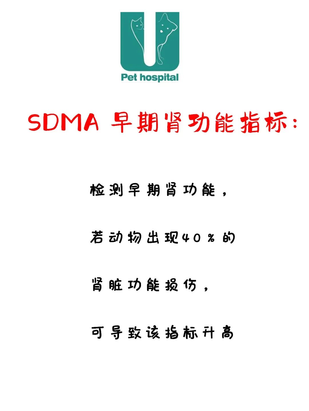 请接好，这是一份猫咪“悬赏令”