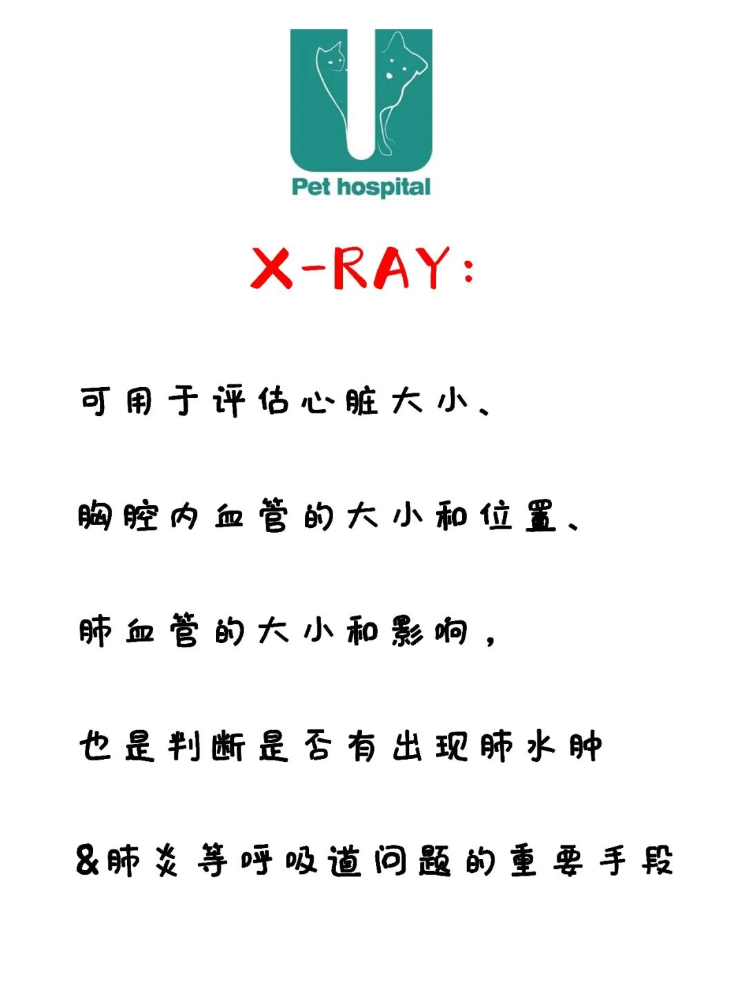 请接好，这是一份猫咪“悬赏令”