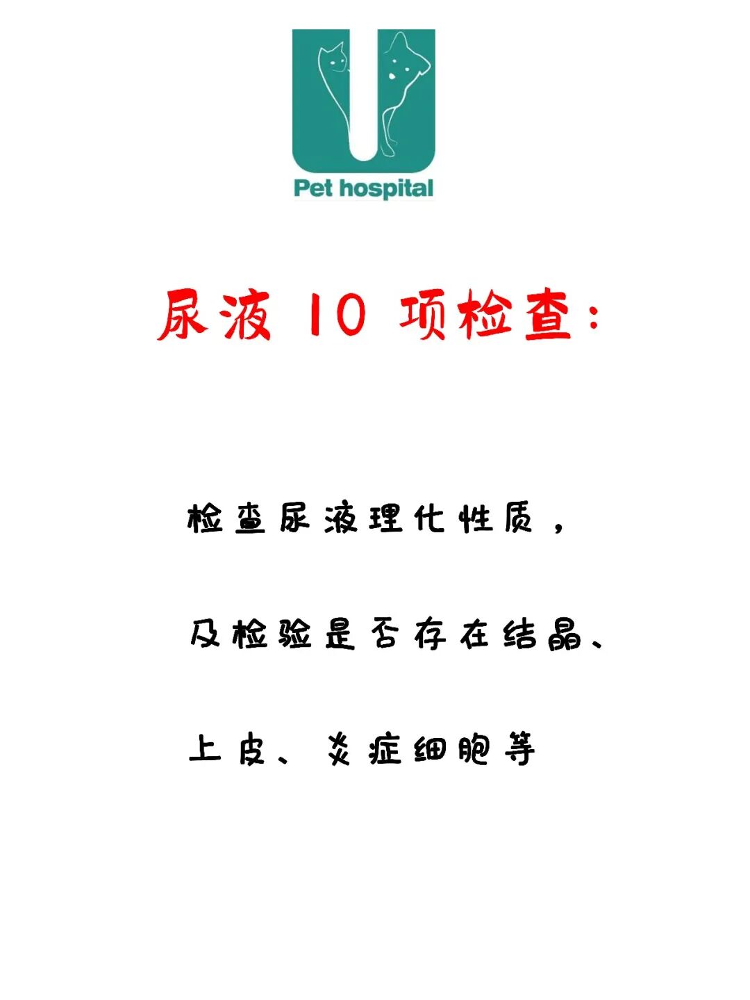 请接好，这是一份猫咪“悬赏令”