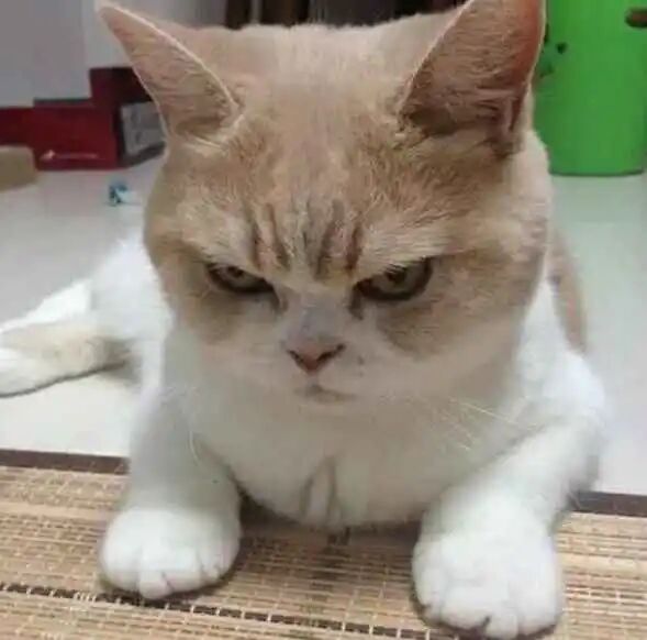 我家的主子有“恐水症”！