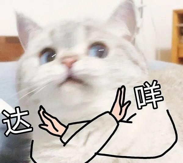 我家的主子有“恐水症”！