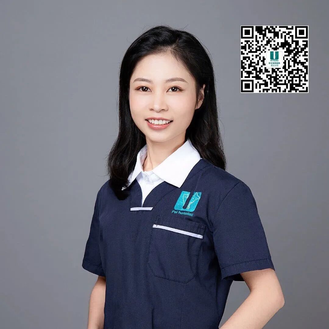 主子们，这样的服务你满意吗？