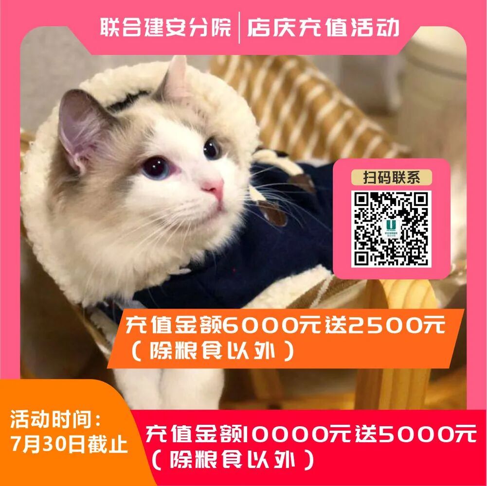 主子们，这样的服务你满意吗？